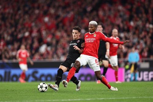 벤피카 vs 볼로냐