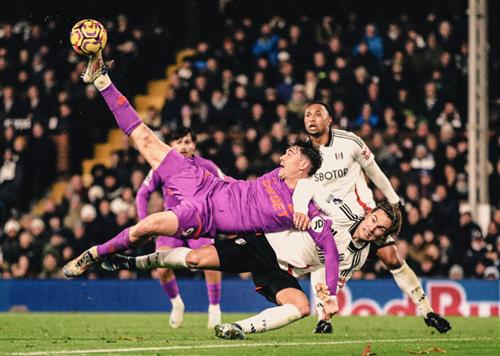 풀럼 대 울브스