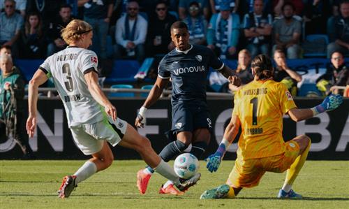 보훔 vfl 볼프스부르크