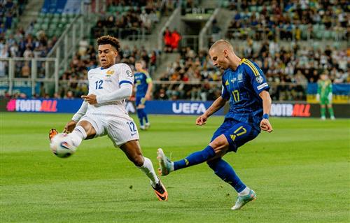 우크라이나 vs 프랑스