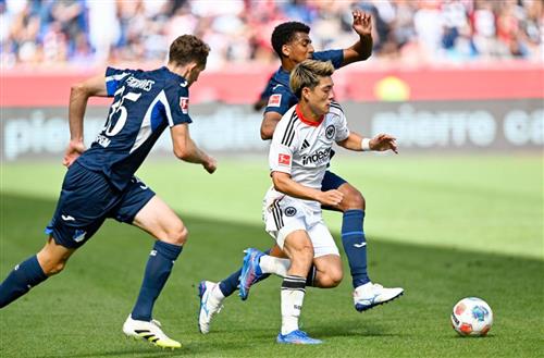 TSG 호펜하임 vs 아인트라흐트 프랑크푸르트