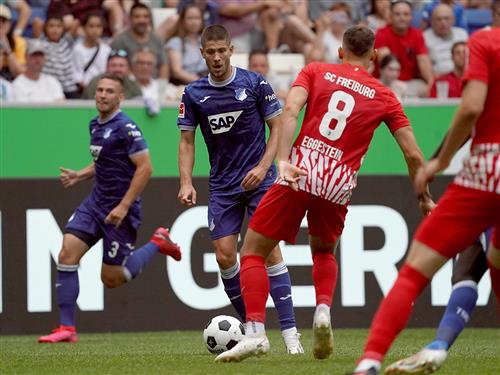 프라이부르크 vs 호펜하임