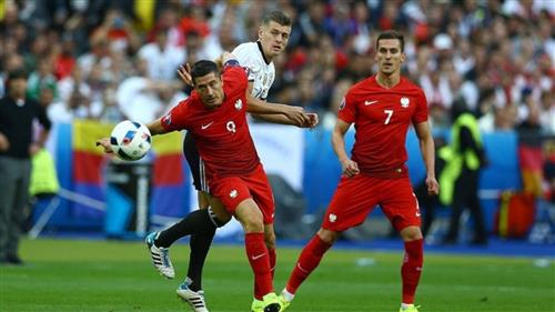 폴란드 대 독일