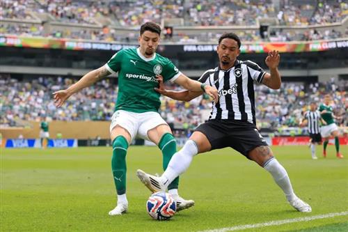 팔메이라스 vs RJ 보타포고